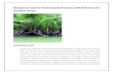 Mangroves Project
