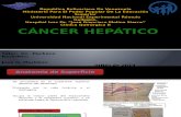 Cancer Hepatico Jose Cirugia II.pptx [Reparado]