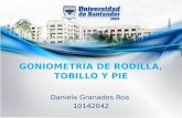 Goniometria Rodilla Tobillo Pie