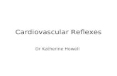 Autonomic Control of the heart Cardiovascular reflexes student version(7)-2.ppt