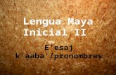 Pronombres de la lengua maya yucateca