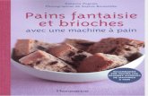 CookBook Ita 035 Rebecca Pugnale - Pains Fantaisie Et Brioches Avec Une Machine a Pain
