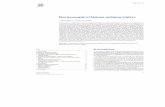 Dermoscopie et lésions mélanocytaires.pdf