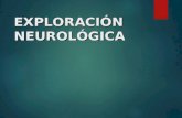 Exp. Neurologica