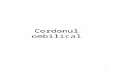 Cordonul ombilical.ppt