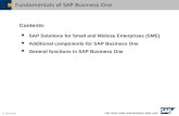 Fundamentals SAP Business One
