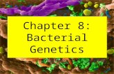 Ch08 Bacterial Genetics