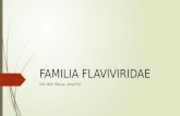 Familia Flaviviridae