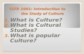 Introducing Culture Power Point Presentation