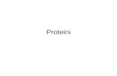 3 Proteini
