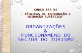 Organizaçoes e Funcionamento Do Sector Do Turismo