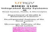 1. Embryo n Histo Renal-Urinary PPP (1).ppt