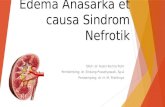 Edema Anasarka Et Causa Sindrom Nefrotik
