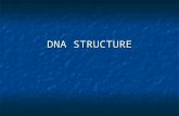 dna Structure Lecture