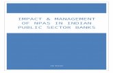 Impact and Management of NPA in Indian Public Sector Banks