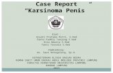case report CA PENIS