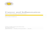 Cancer and Inflammation - Role of Macrophages and Monocytes