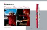 Packer Service Tools