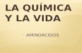 QUIMICA AMINOACIDOS
