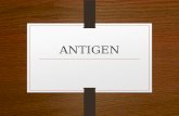 ANTIGEN- Imunologi 1-farmasi