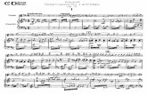 Prokofiev - Violin Concerto No.1 in D Major, Op 19
