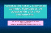 Adaptación Fetal y Neonatal,II