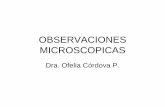 OBSERVACIONES MICROSCOPICAS BIOLOGIA