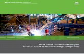 Growth Strategies Industrial Manufacturing Companies 1113 1