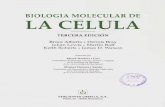 Alberts Bruce - Biologia Molecular de La Celula - Parte 0 - Indices