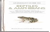 Guide to Reptiles & Amphibians