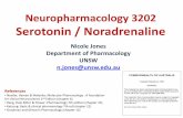 2. Serotonin and Noradrenaline
