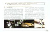 7 Interacciones Mutualistas Planta-Animal y Reproduccion de Las-1