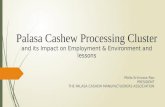10 Malla Srinivasa Rao Cashew Processing Impact on Empolyment Environment