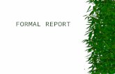 Lec 11 Formal Report