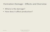 Formation Damage – Effects and Overview
