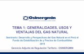 Generalidades, Usos y Ventajas Del Gas Natural - Final