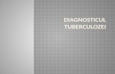 tuberculoza (2)