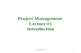 Chapter 1 Slides (Project Managment)