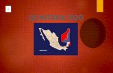 Quintanaroo Hnm Act 6