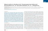 Small-RNA Inheritance via Starvation