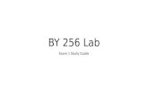 By 256 Lab Exam 1 Studyguide