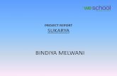 Project report on social cause