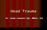 Trauma Brain Injury