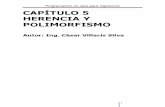 Capítulo 5 Herencia y Polimorfismo - Cxvs - Versión Final Corregida
