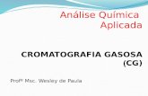 Analise Química Aplicada (Cromatografia Gasosa)