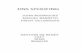 DNS Spoofing PDF