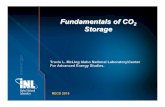 Fundamentals of CO2 Storage