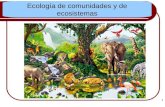 8ecologia de Comunidades y Ecosistemas