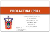 Prolactina Prl