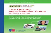 Improvement Guide Nursing Edition Web (Dec 11).pdf